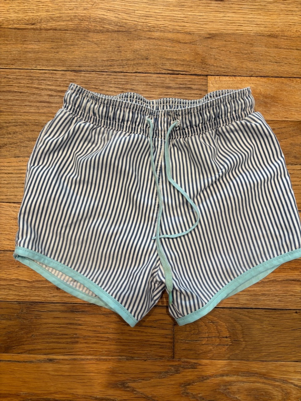 Minnow swim